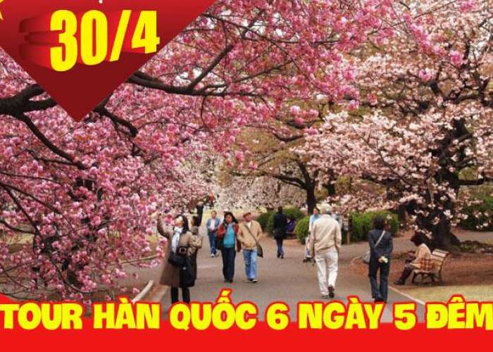 Tour Du Lịch Hàn Quốc 6 Ngày 5 Đêm Dịp lễ 30/4 Và 1/5 (Bay KE/OZ 5*****)